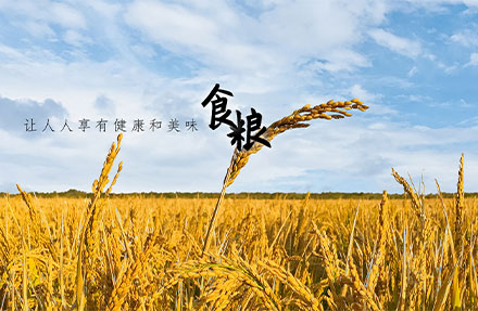 北(běi)京高(gāo)端網站(zhàn)建設公司-國(guó)瑞米業(yè)