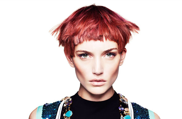 北(běi)京高(gāo)端網站(zhàn)建設公司-湯尼英蓋