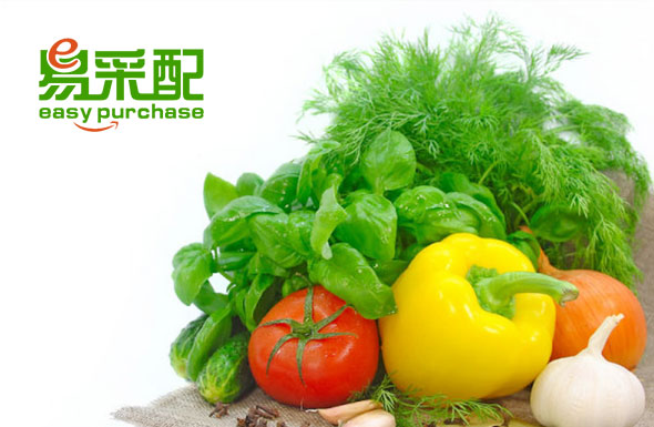 北(běi)京高(gāo)端網站(zhàn)建設公司-易采配